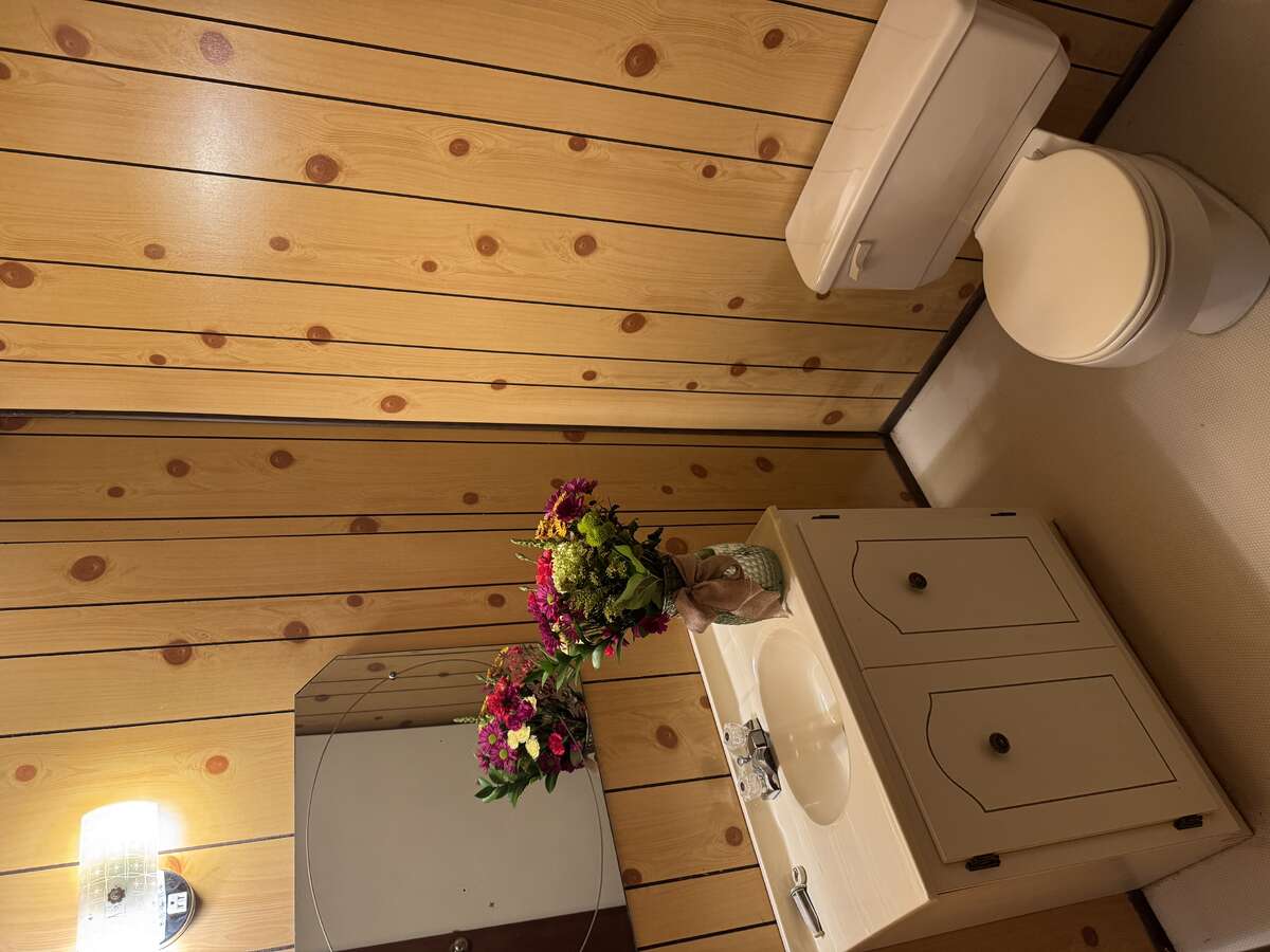 Basement Bathroom Vanity and Toilet