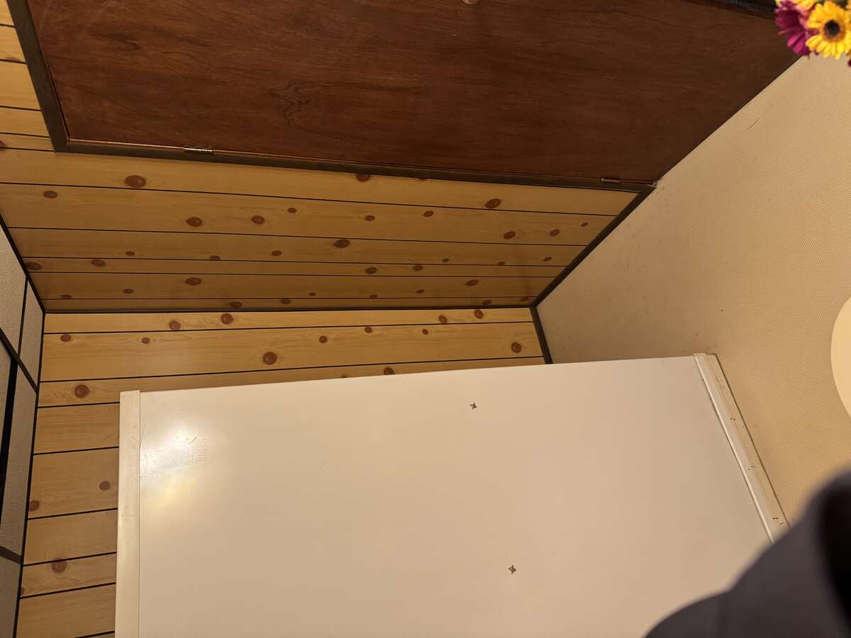 Basement Shower Area
