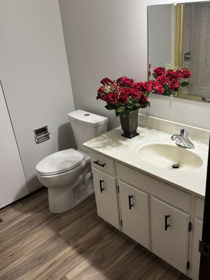 Main Bathroom Toilet and Vanity