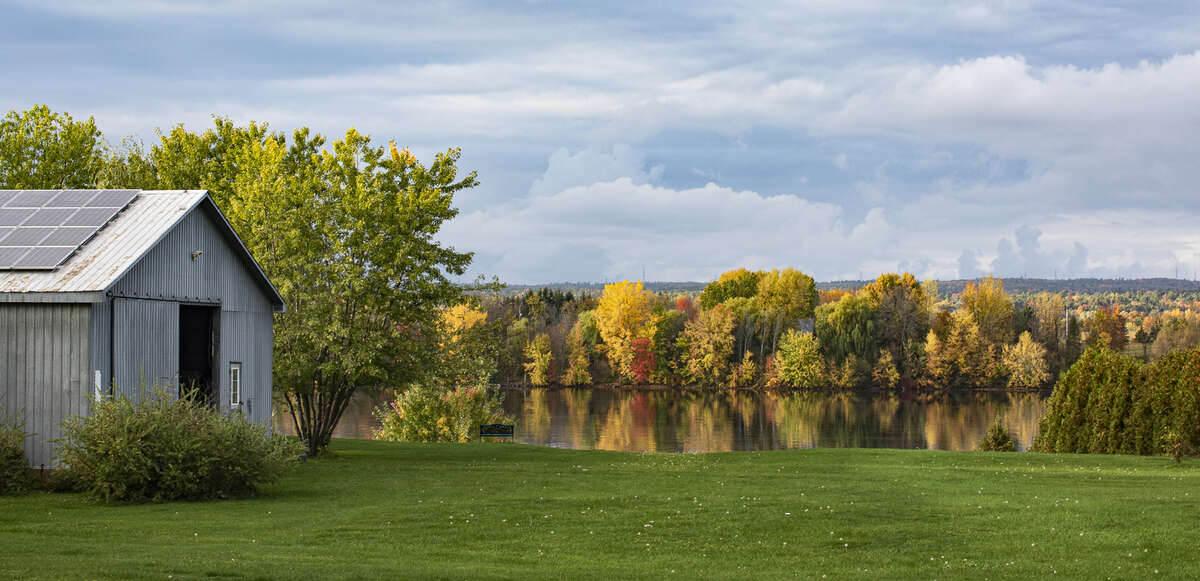 Backyard in Autumn