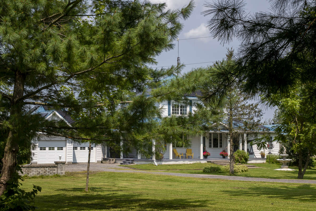 Privacy Front Yard