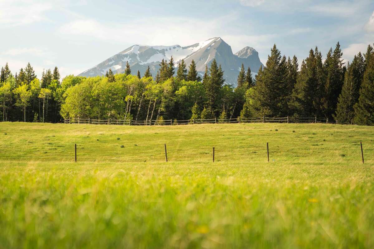 Acreage in the Crowsnest Pass - Incredible Views!