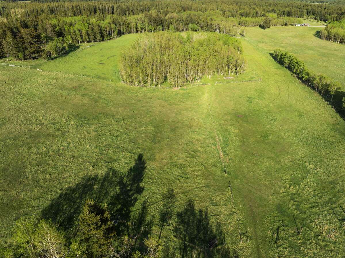 Acreage in the Crowsnest Pass - Incredible Views!
