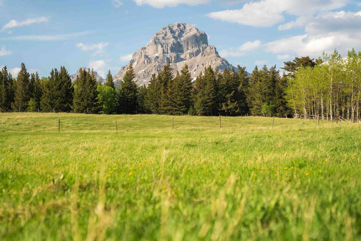 Acreage in the Crowsnest Pass - Incredible Views!