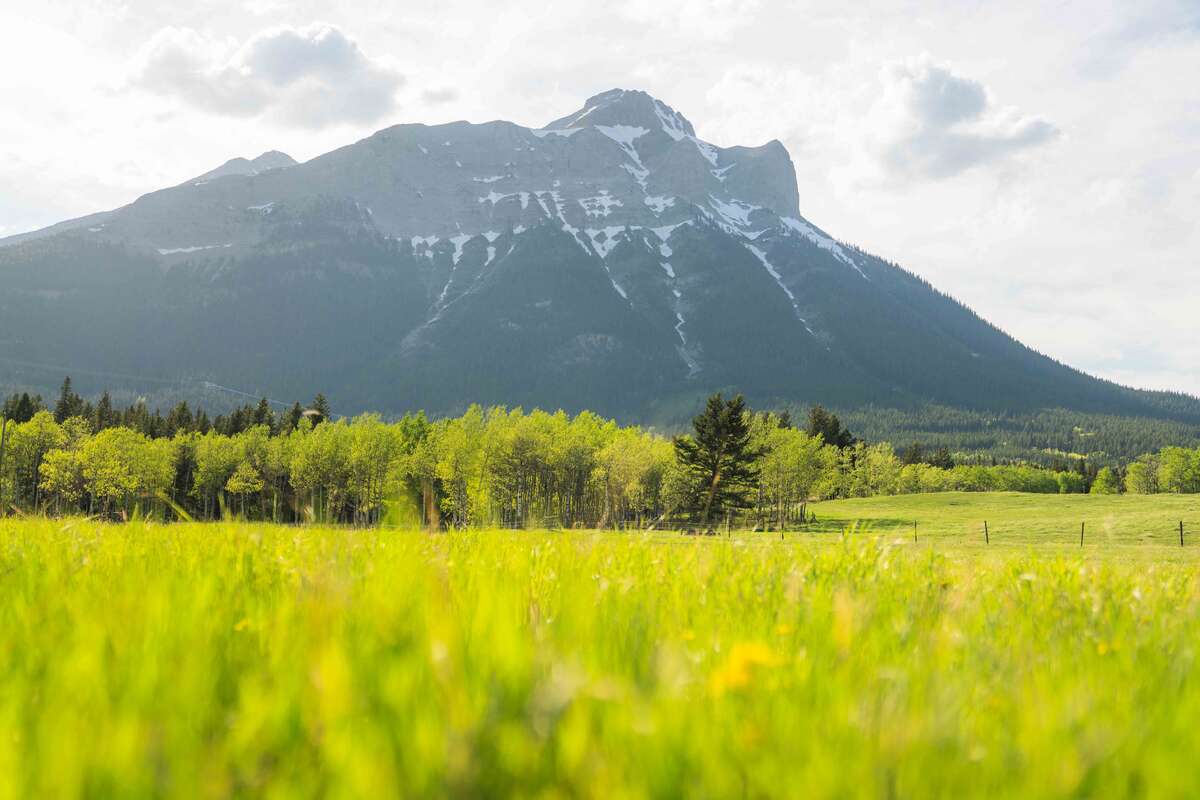 Acreage in the Crowsnest Pass - Incredible Views!