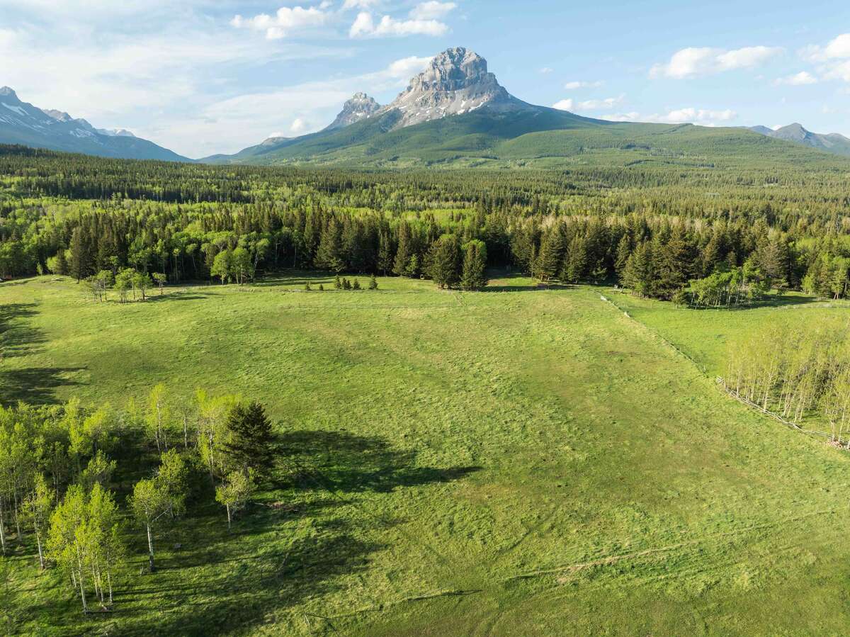 Acreage in the Crowsnest Pass - Incredible Views!