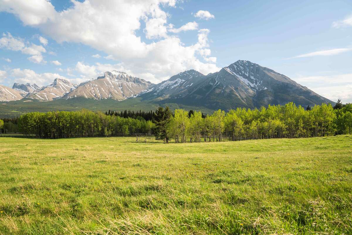 Acreage in the Crowsnest Pass - Incredible Views!
