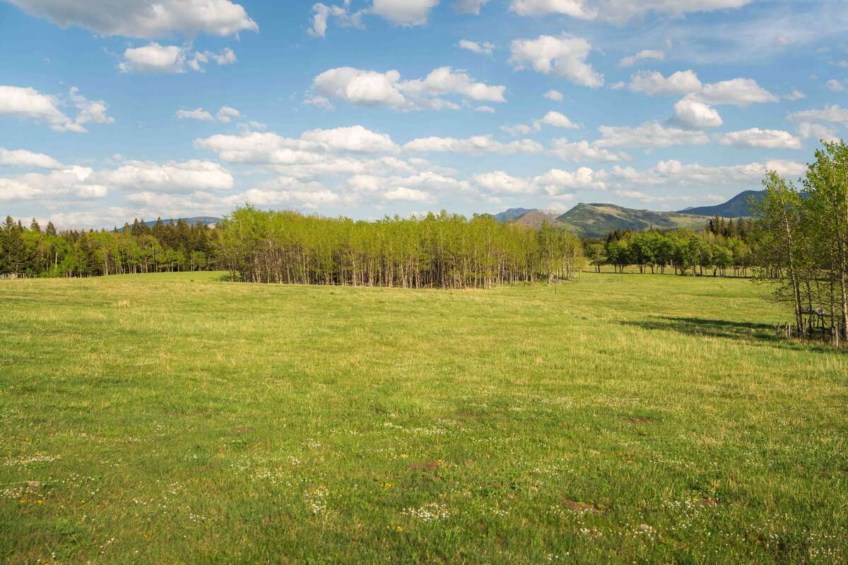 Acreage in the Crowsnest Pass - Incredible Views!