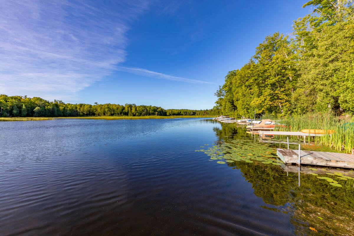 Your dock, your boat that's where they going to be.