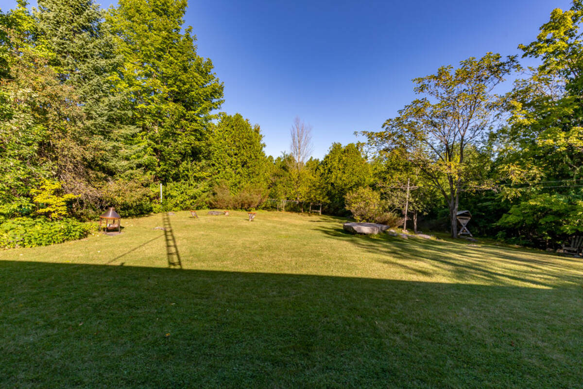 13 Cedar, backyard.