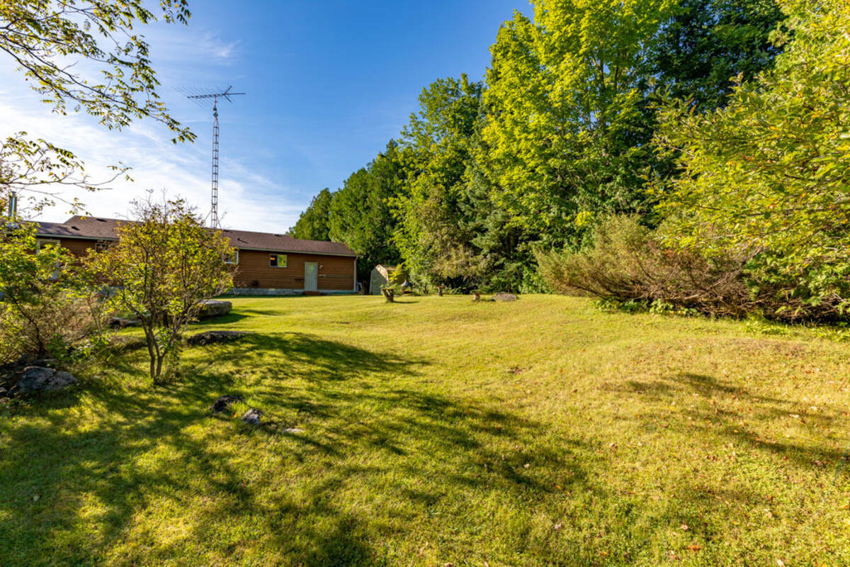 13 Cedar, backyard, rear of the house.