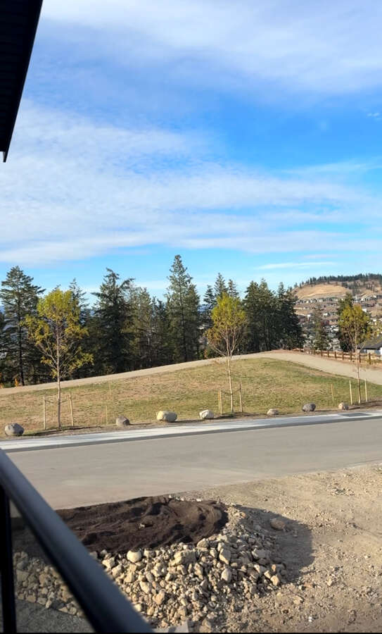 View from deck; future park location