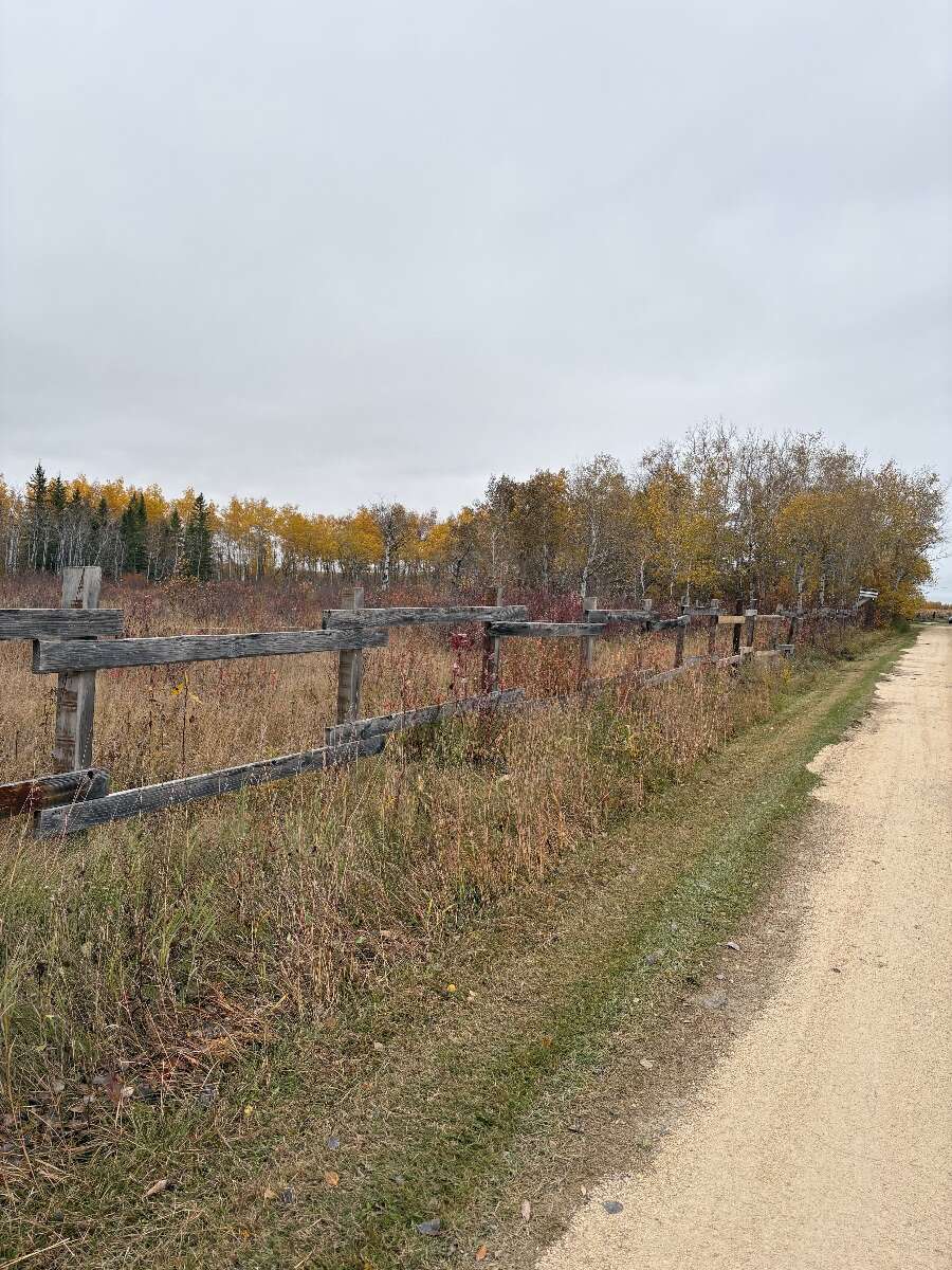 Enjoy country living on 9.37 acres!