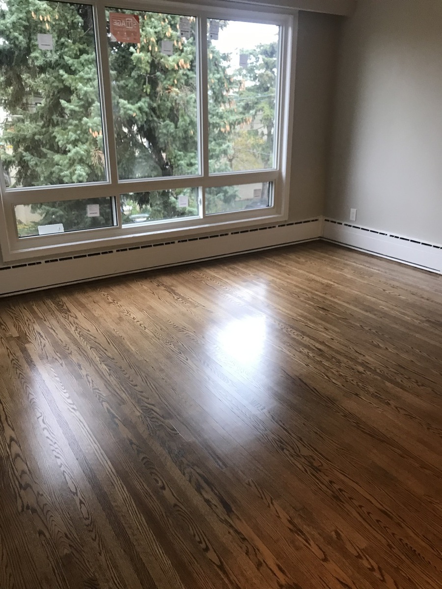 Apartment / Triplex For Lease in Toronto, ON - 2 bed, 1 bath
