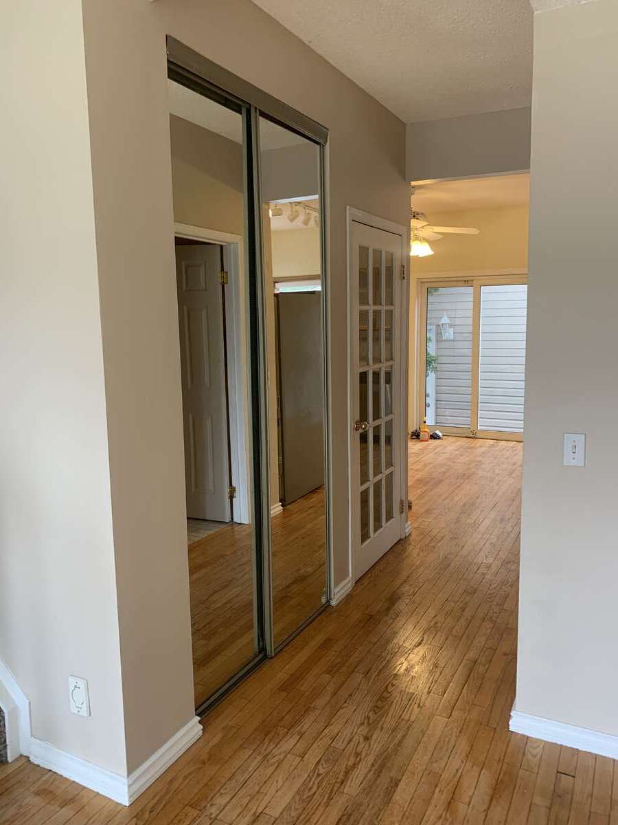 Living Room Closet/Mirror