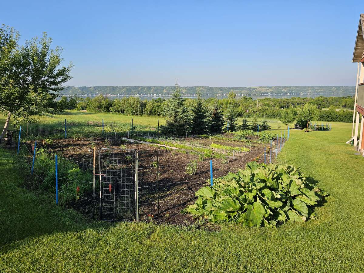 Garden area