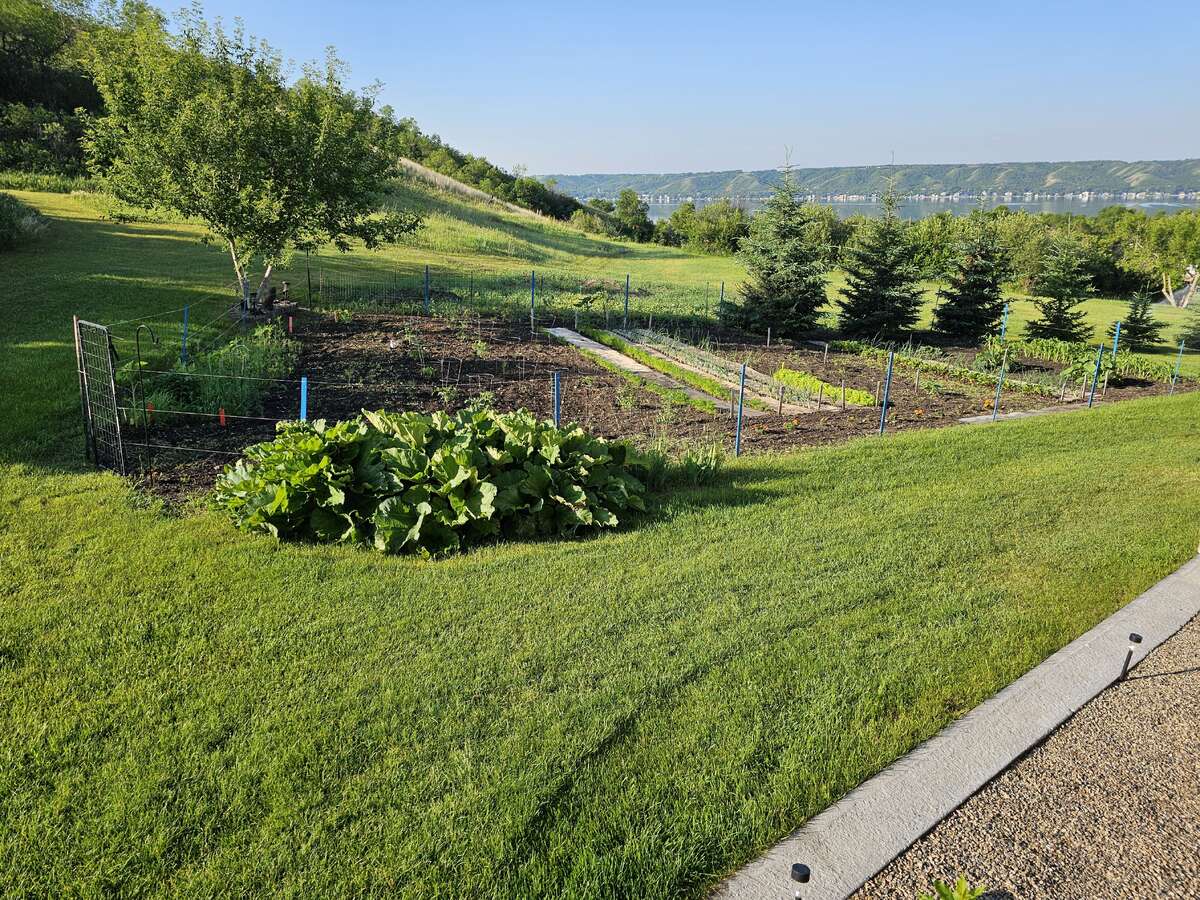 Garden area