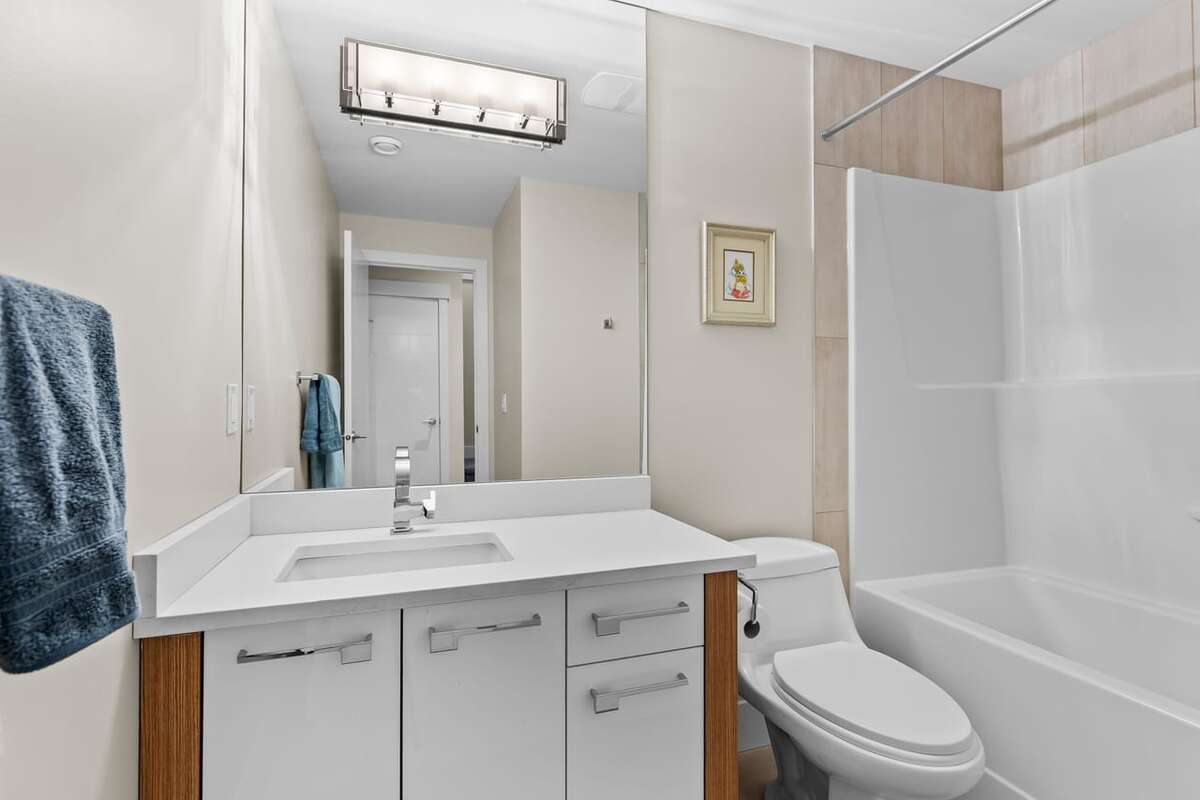 Basement Bathroom