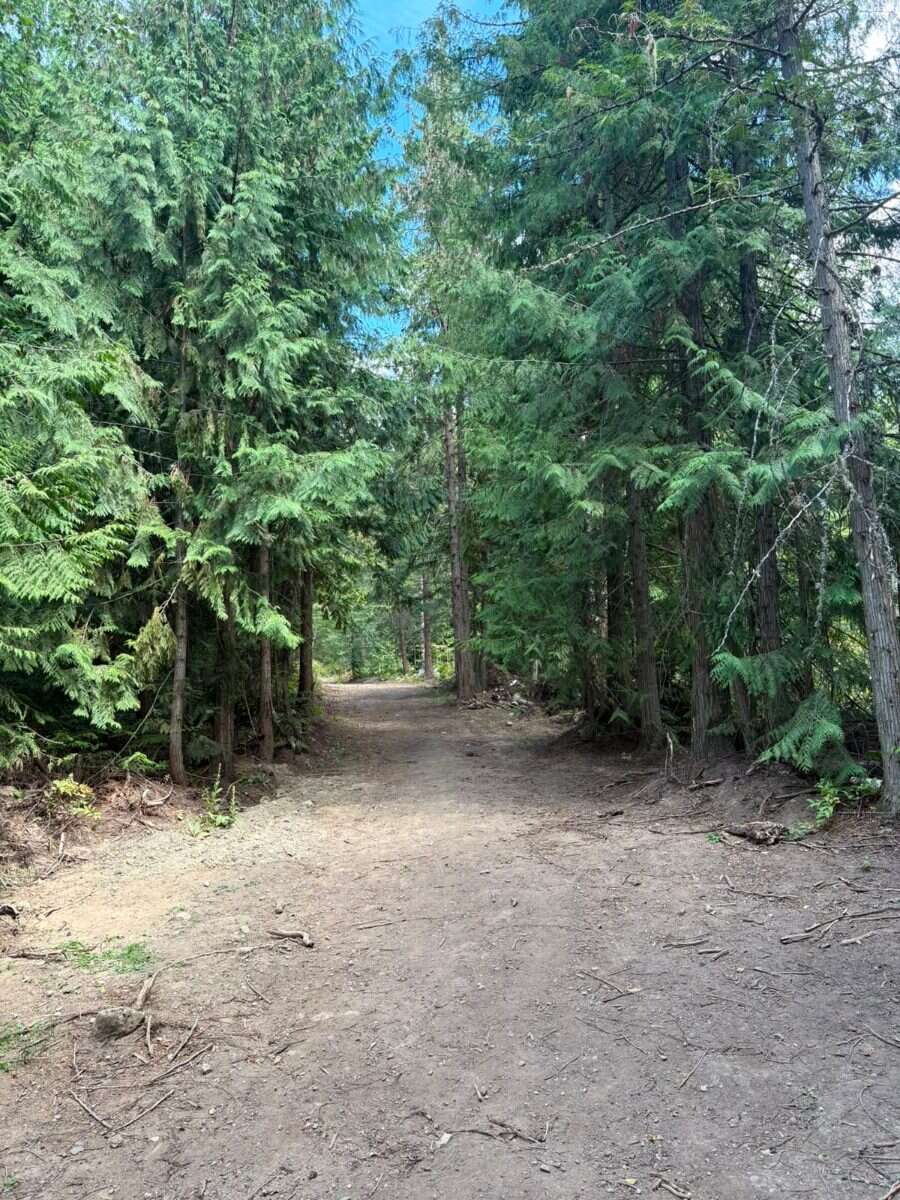 7 acres 10 mins from town, ready to build