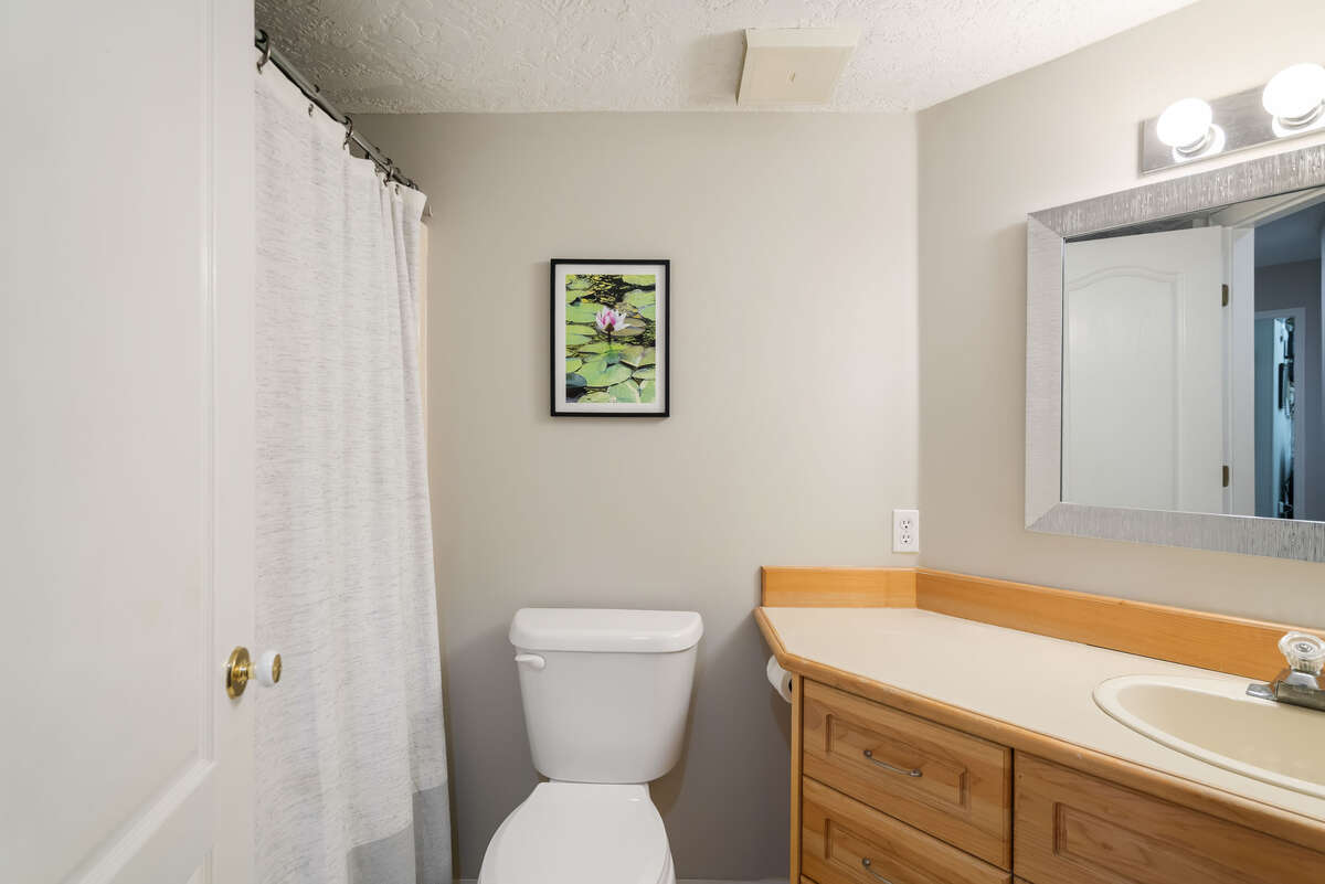 Downstairs 4 piece bathroom. Picture on the wall is a photo taken on the lake.