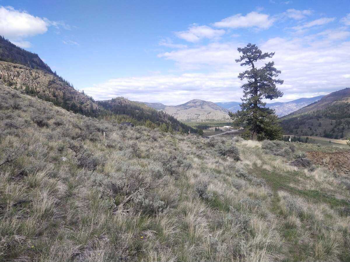 Acreage / Vacant Land For Sale in Kaleden, BC