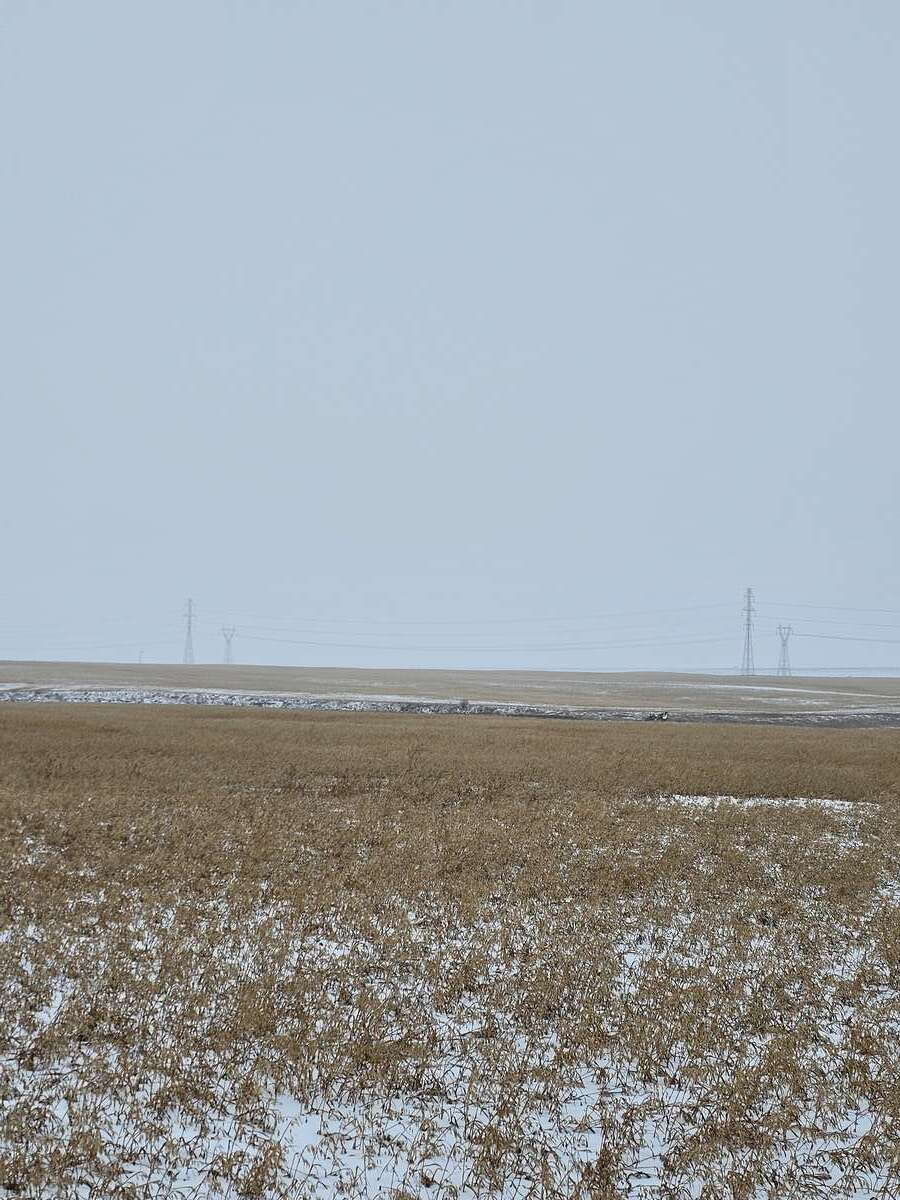 Farm For Sale in Rocky View County, AB
