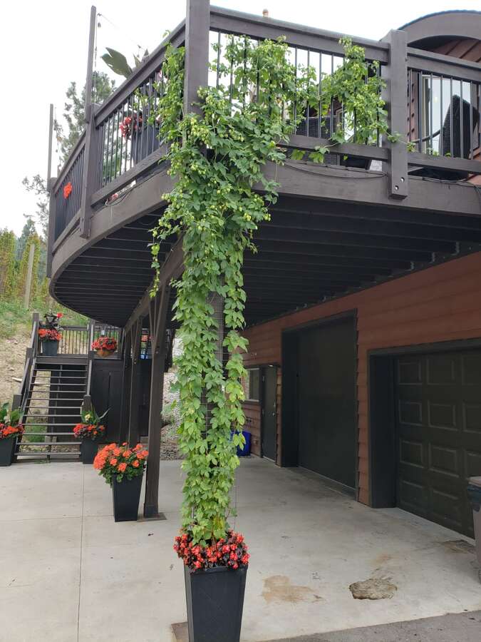 Below upper deck view