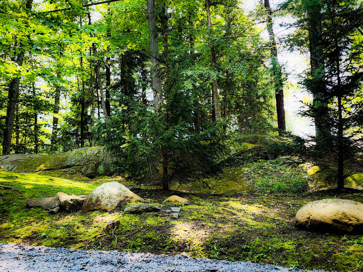 Road side, beautiful mossy smooth rock face