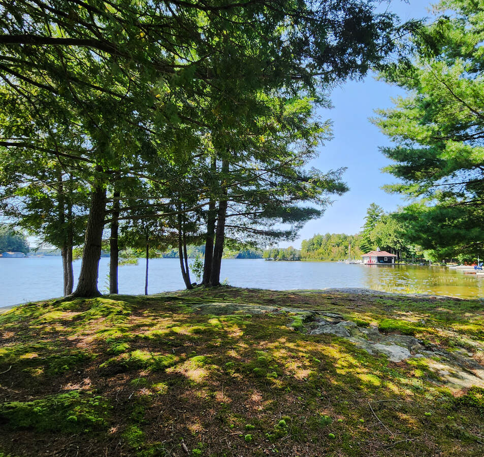 Rock point.