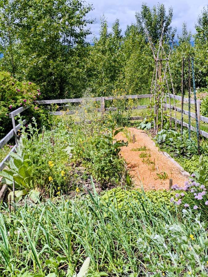 Luxury Off-Grid Mountain Homestead on 120 Acres