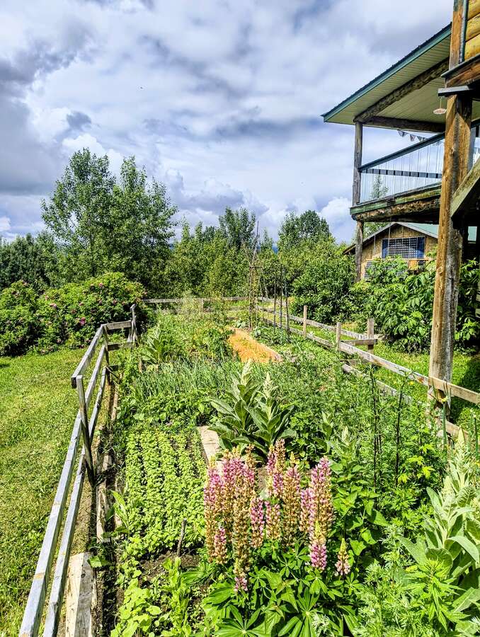 Luxury Off-Grid Mountain Homestead on 120 Acres