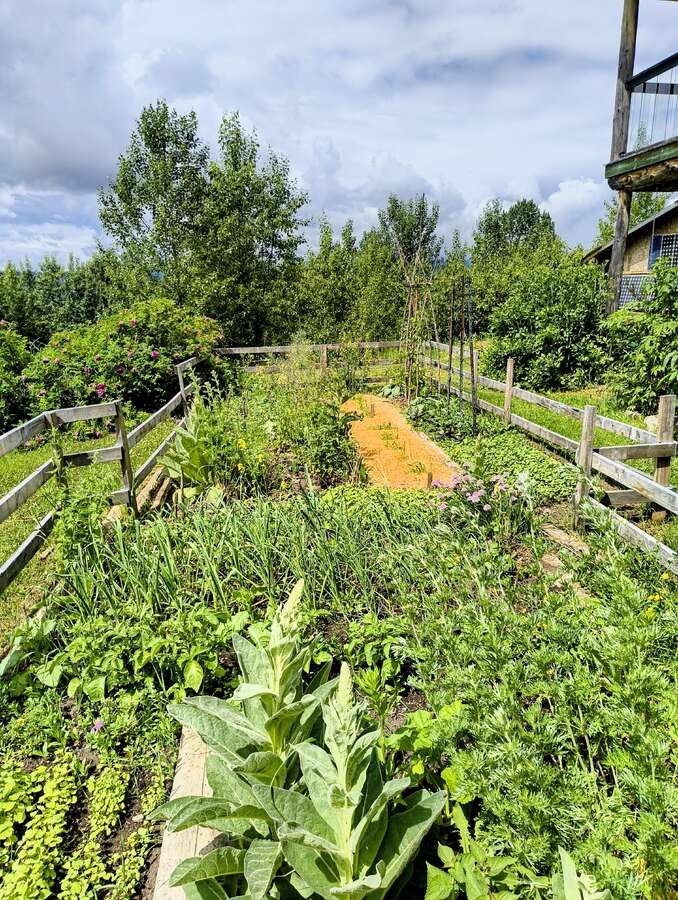 Luxury Off-Grid Mountain Homestead on 120 Acres