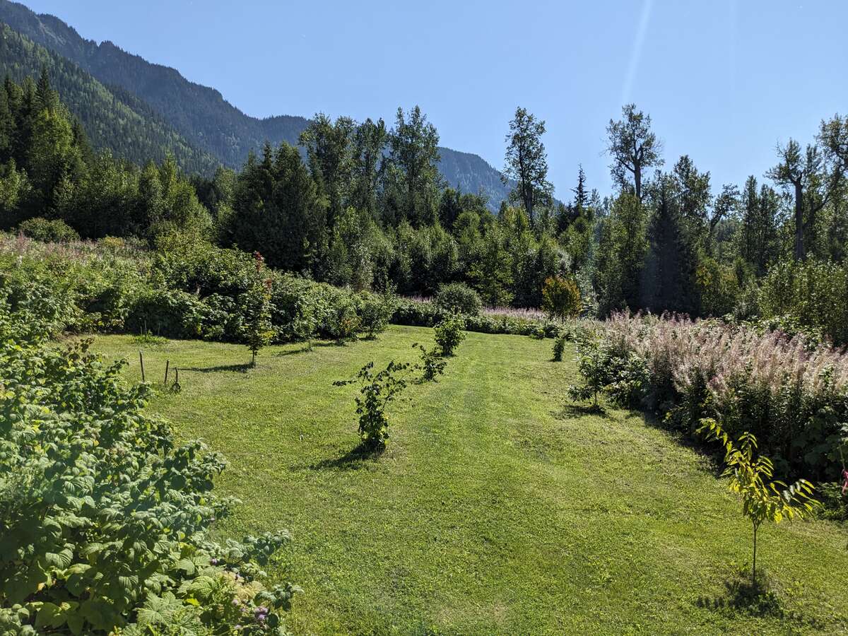 Orchard