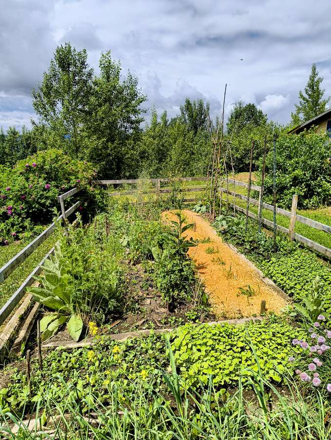 Luxury Off-Grid Mountain Homestead on 120 Acres