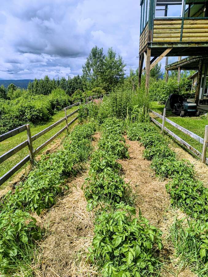 Luxury Off-Grid Mountain Homestead on 120 Acres