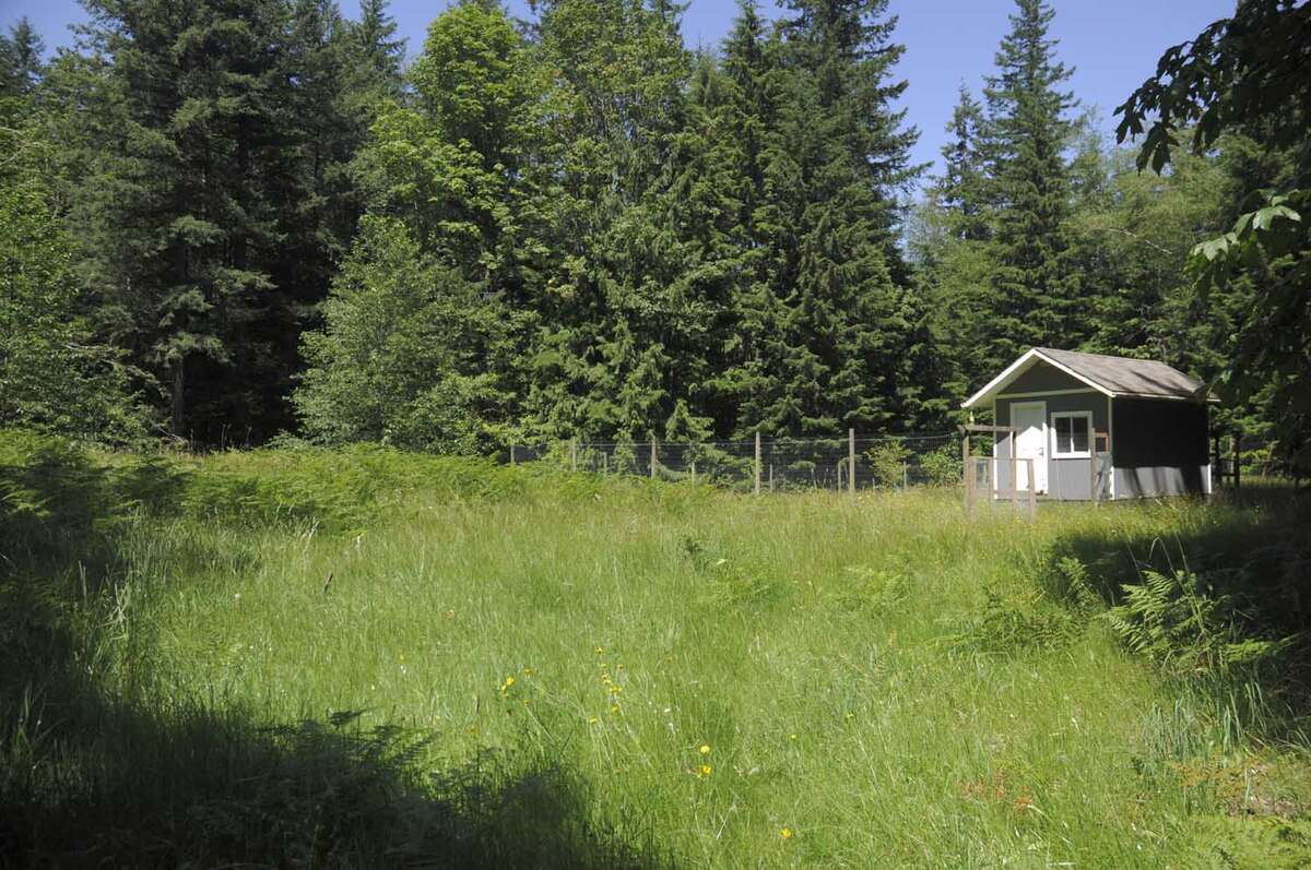 Cabin