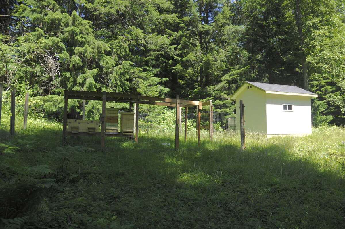 Apiary (Fenced Bee Yard)
