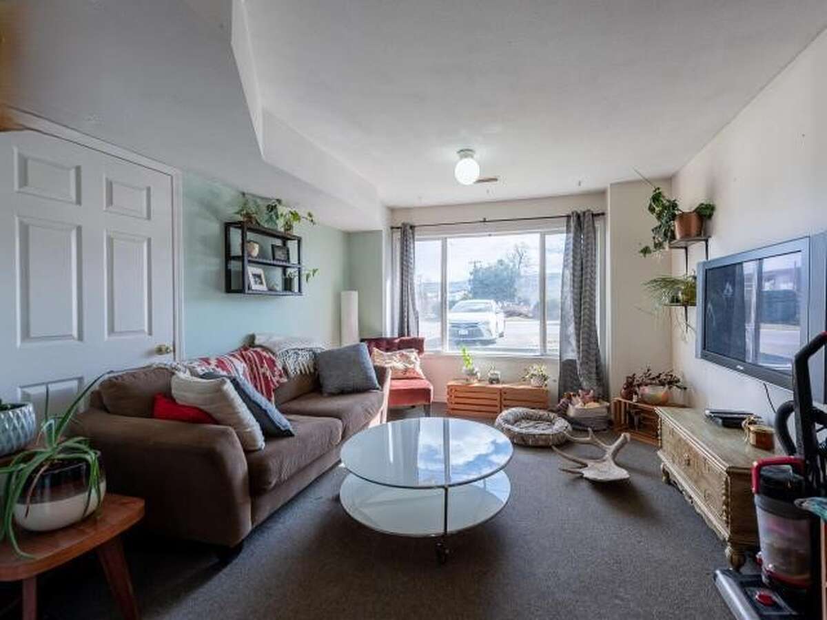 Suite 1