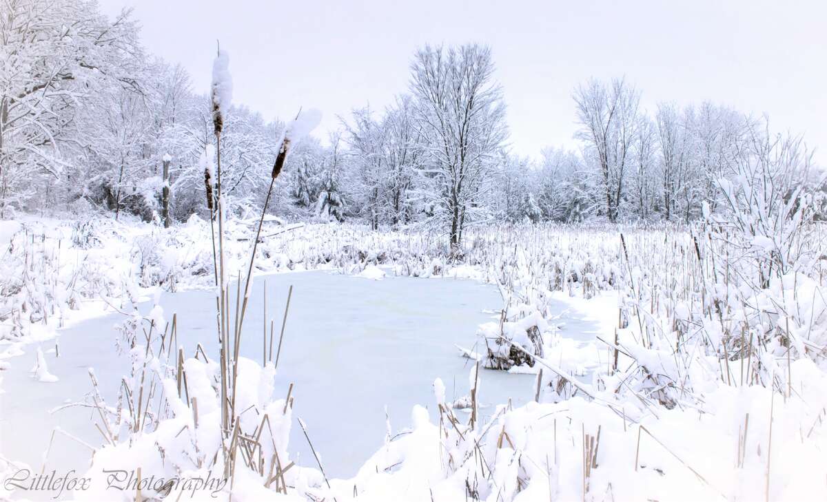 Large Barn with Electricity