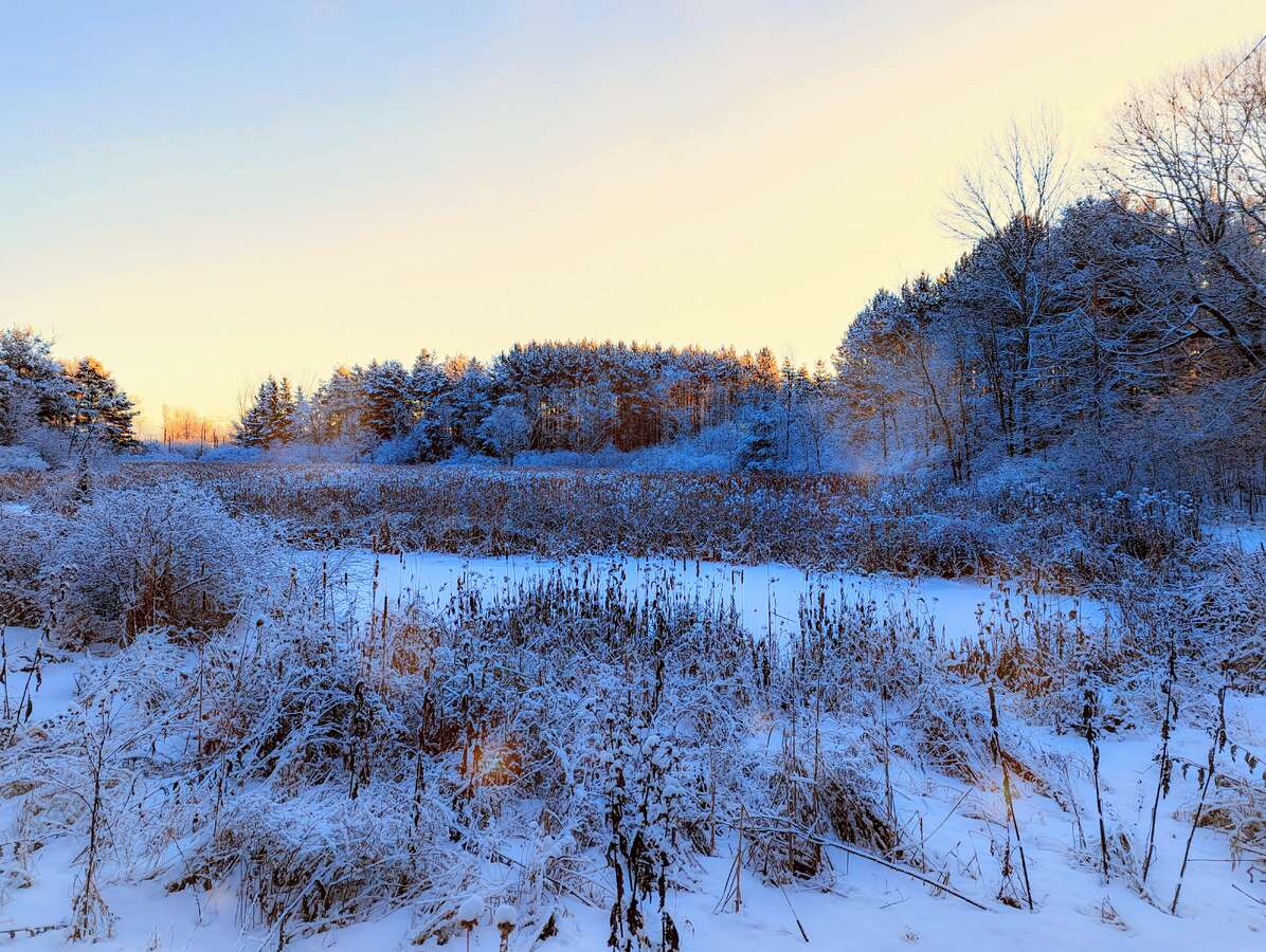 Large Barn with Electricity