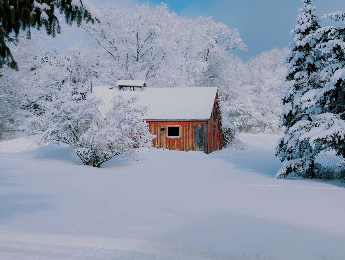Large Barn with Electricity