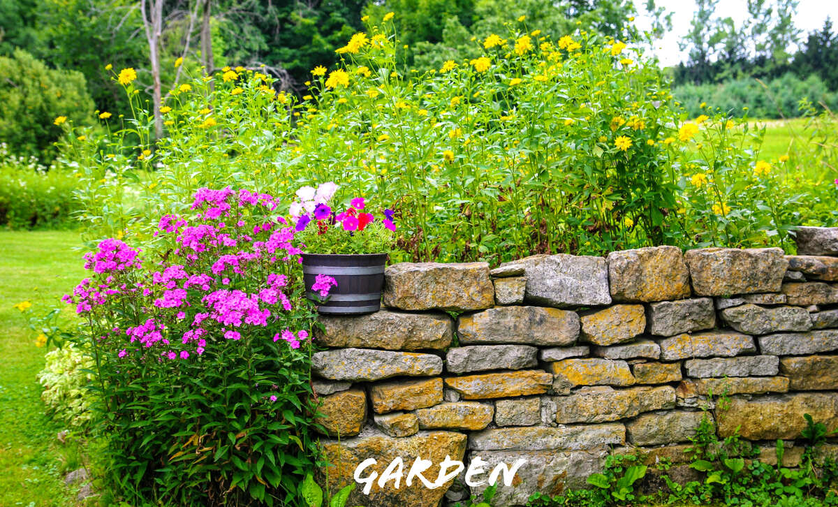 Large Barn with Electricity