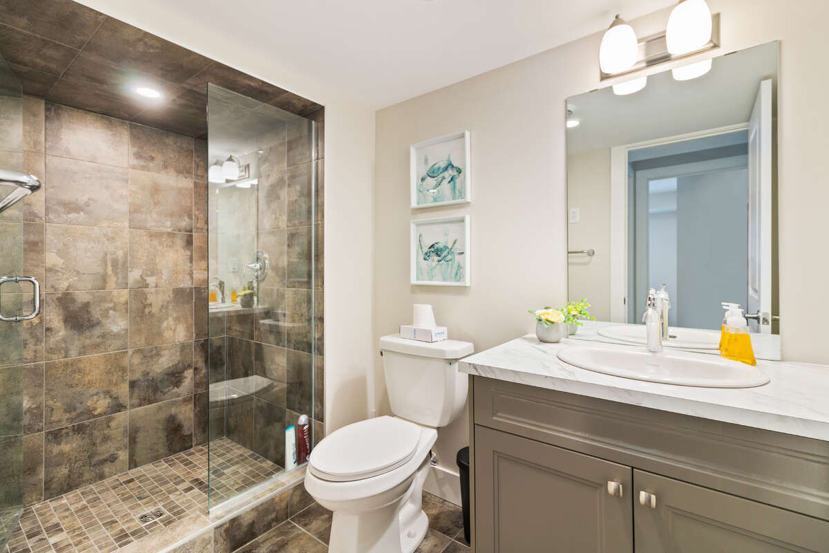 Basement Bathroom with glass shower