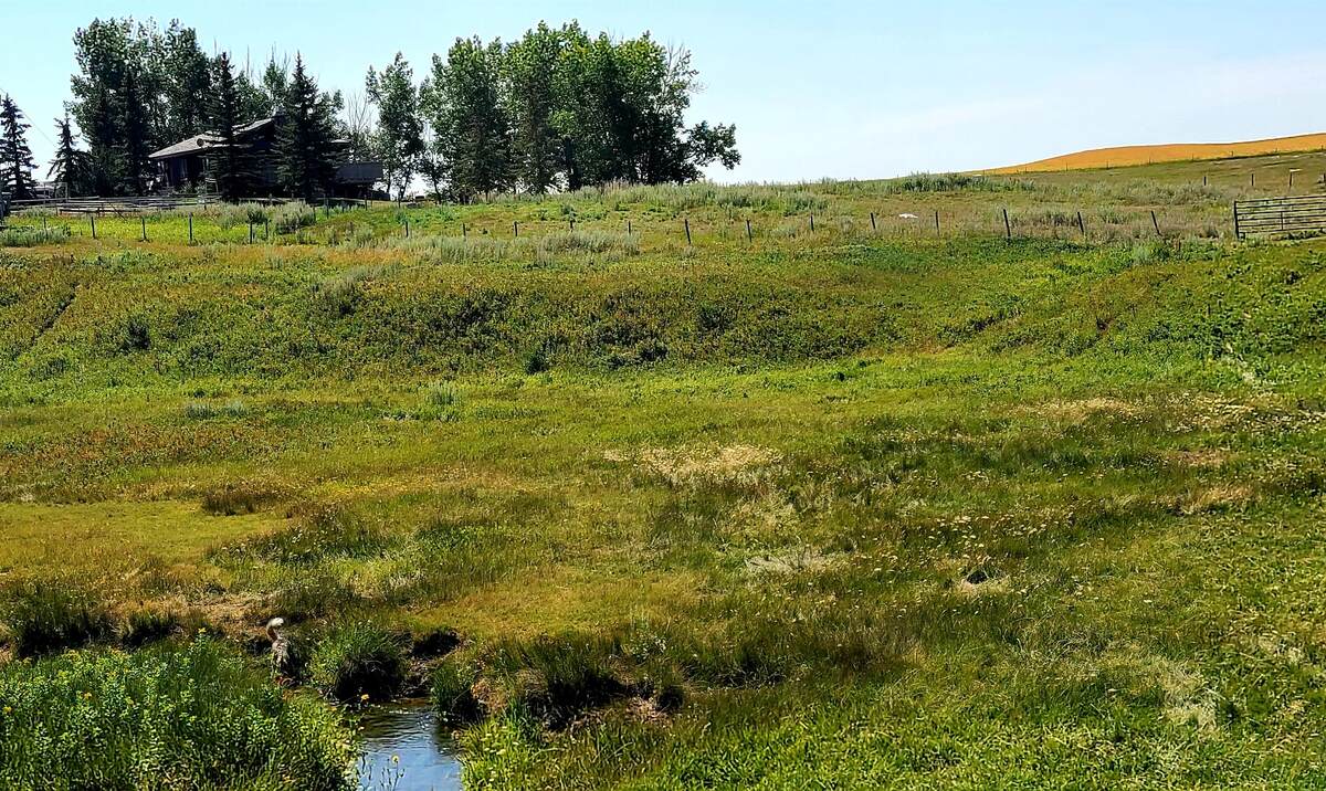 Ranch / Acreage / Bungalow / Detached House / Farm For Sale in Wheatland County, AB - 2+3 bed, 3 bath