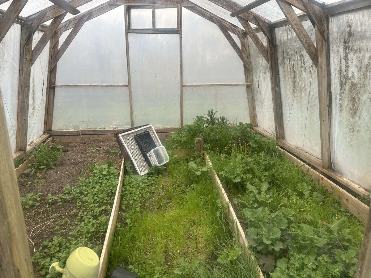 Greenhouse interior