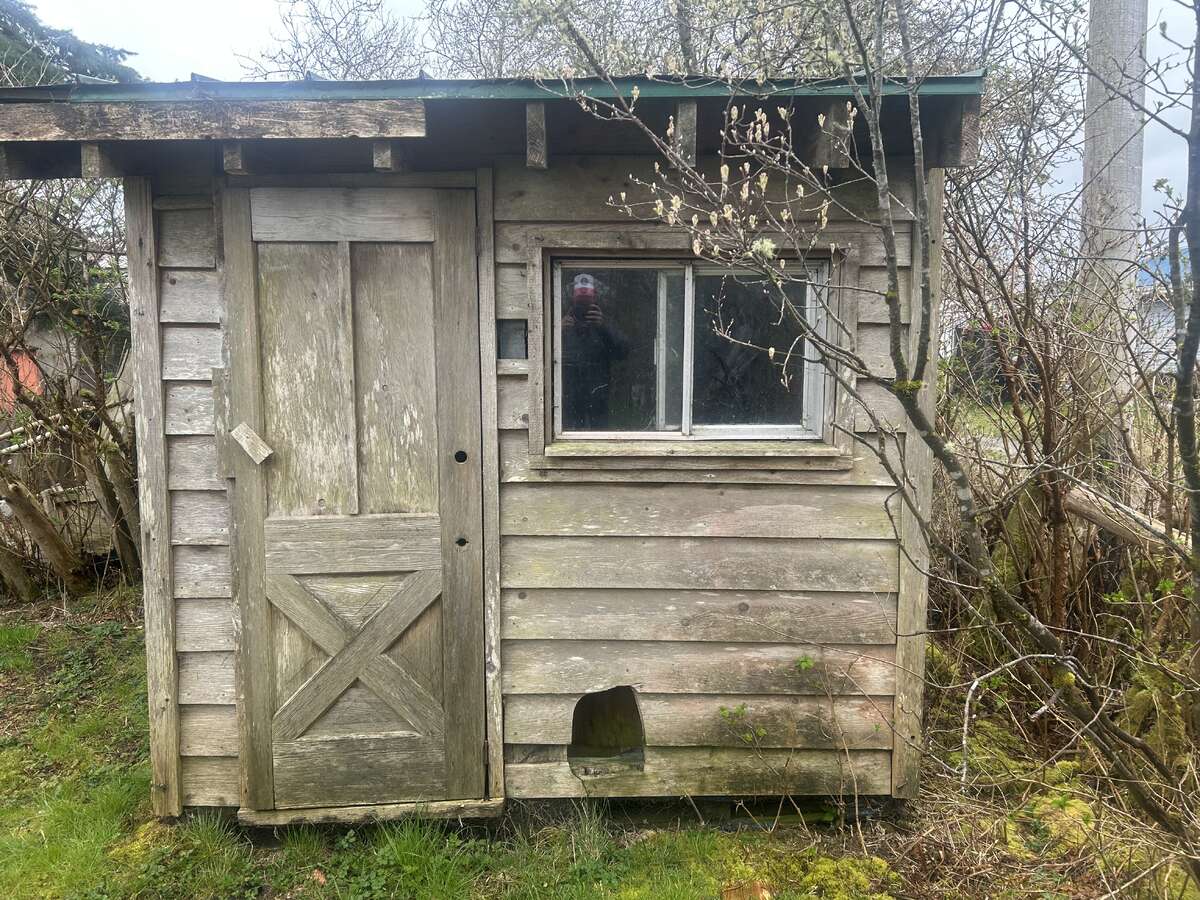 Shed Exterior