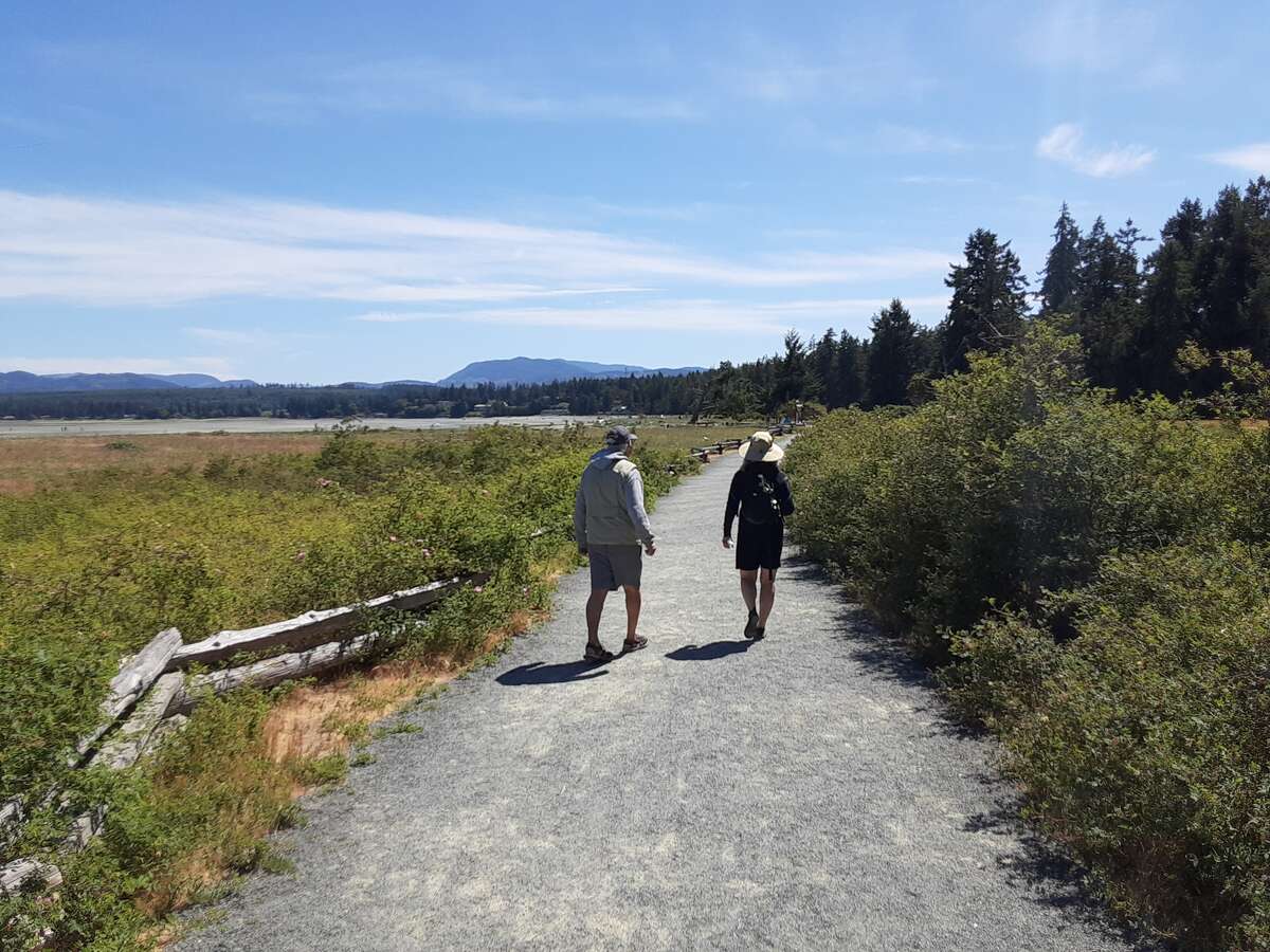 Multi purpose pathway in Rathtrevor Provincial Park