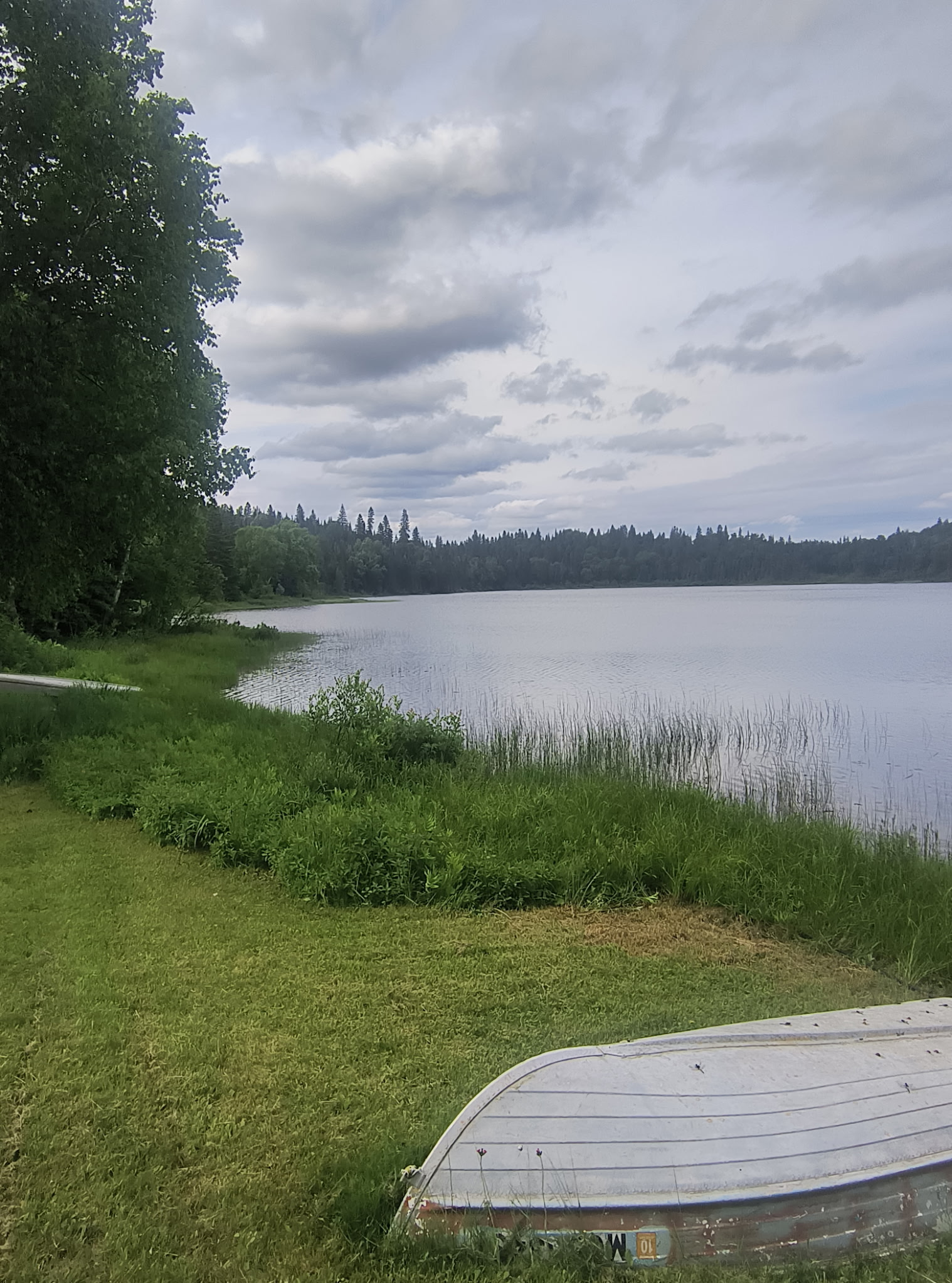 Freehold Waterfront  Camp with Acreage
