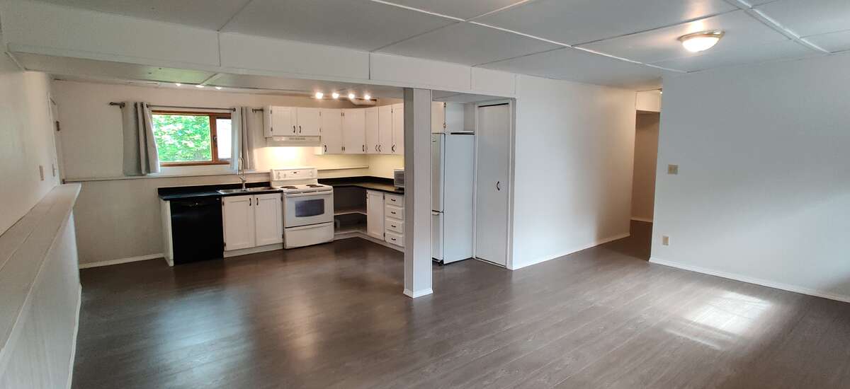 downstairs kitchen / livingroom