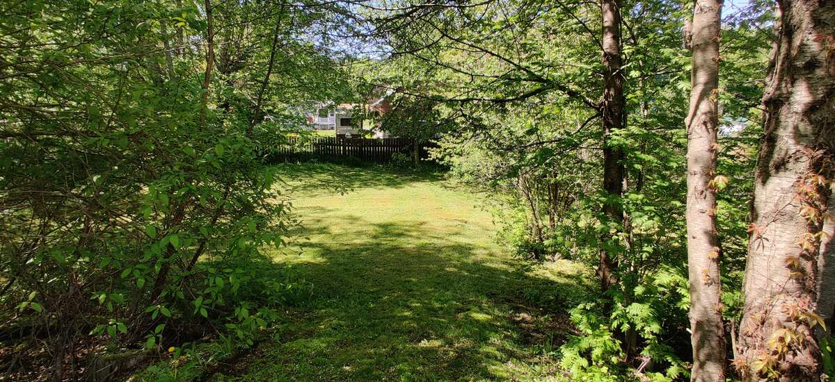 Lower level of backyard